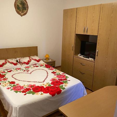 Garsoniera Delfinariu Hotel Констанца Екстериор снимка