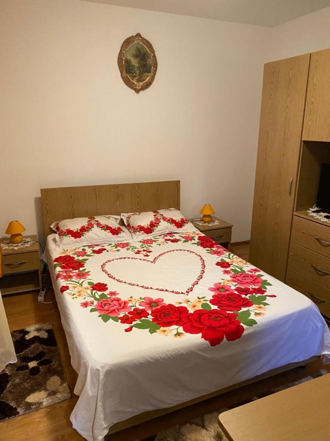 Garsoniera Delfinariu Hotel Констанца Екстериор снимка