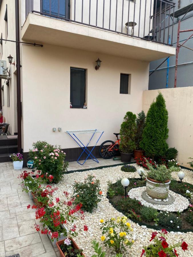 Garsoniera Delfinariu Hotel Констанца Екстериор снимка